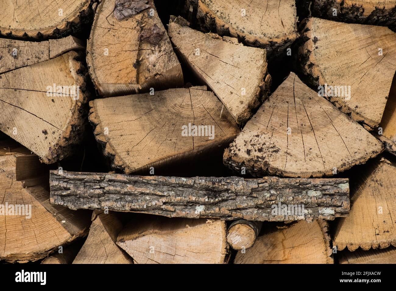 Gestapelte weiße Asche aus dem Osten, die für Feuerholz in Vermont, New England, USA, geschnitten wird. Stockfoto