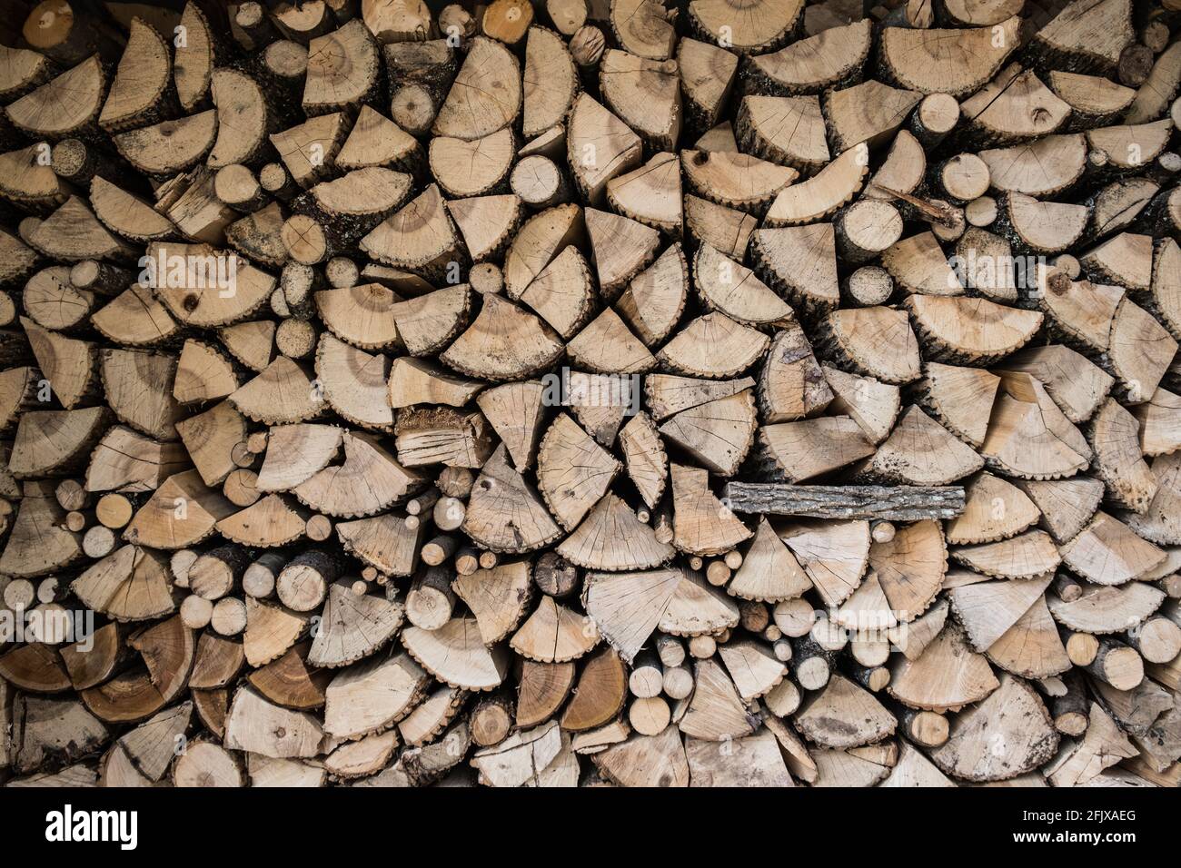 Gestapelte weiße Asche aus dem Osten, die für Feuerholz in Vermont, New England, USA, geschnitten wird. Stockfoto
