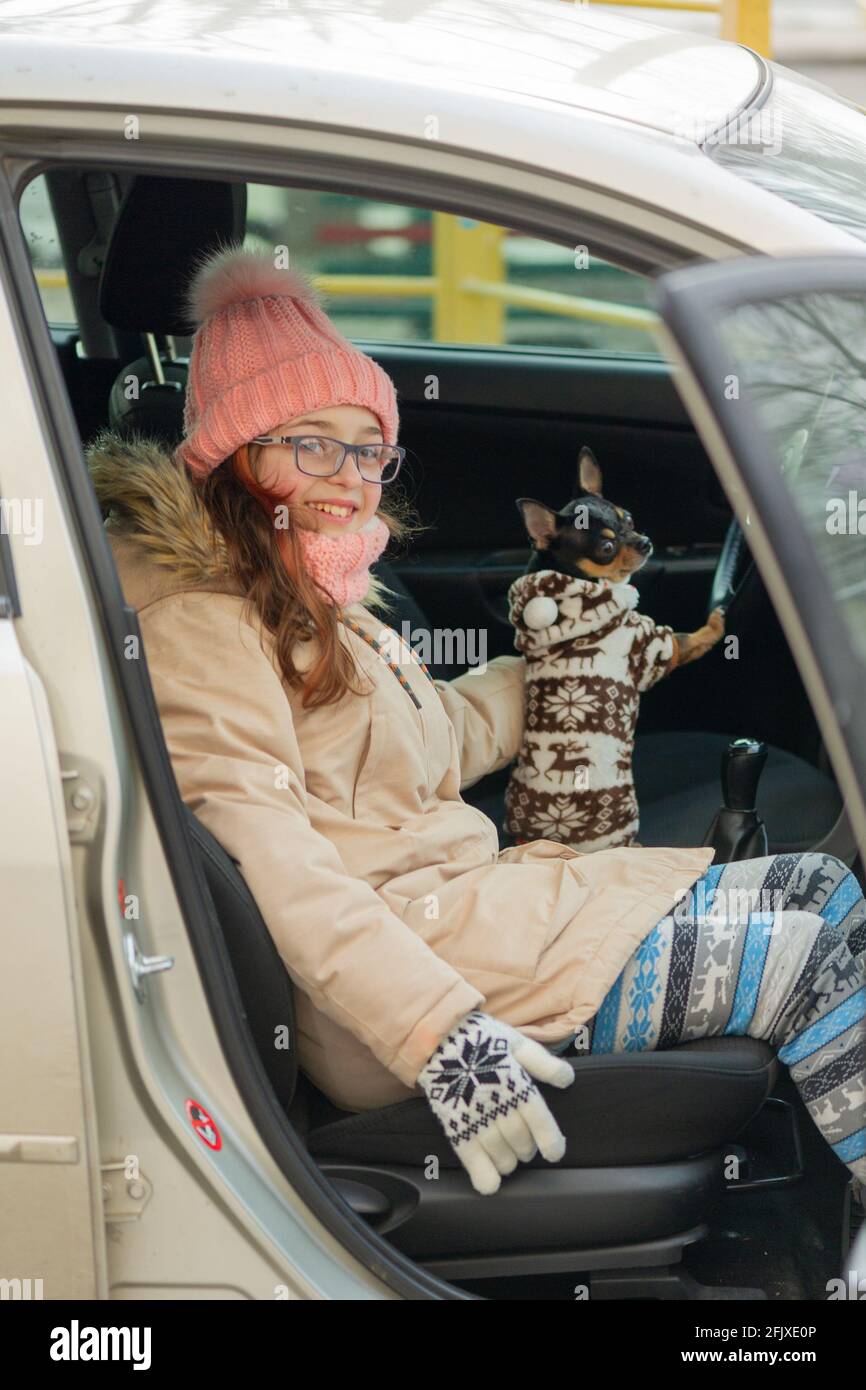 Teenager-Mädchen in einer Jacke im Auto mit chihuahua Hund. Ein Mädchen in einem rosa Hut und einer beigen Jacke. Stockfoto