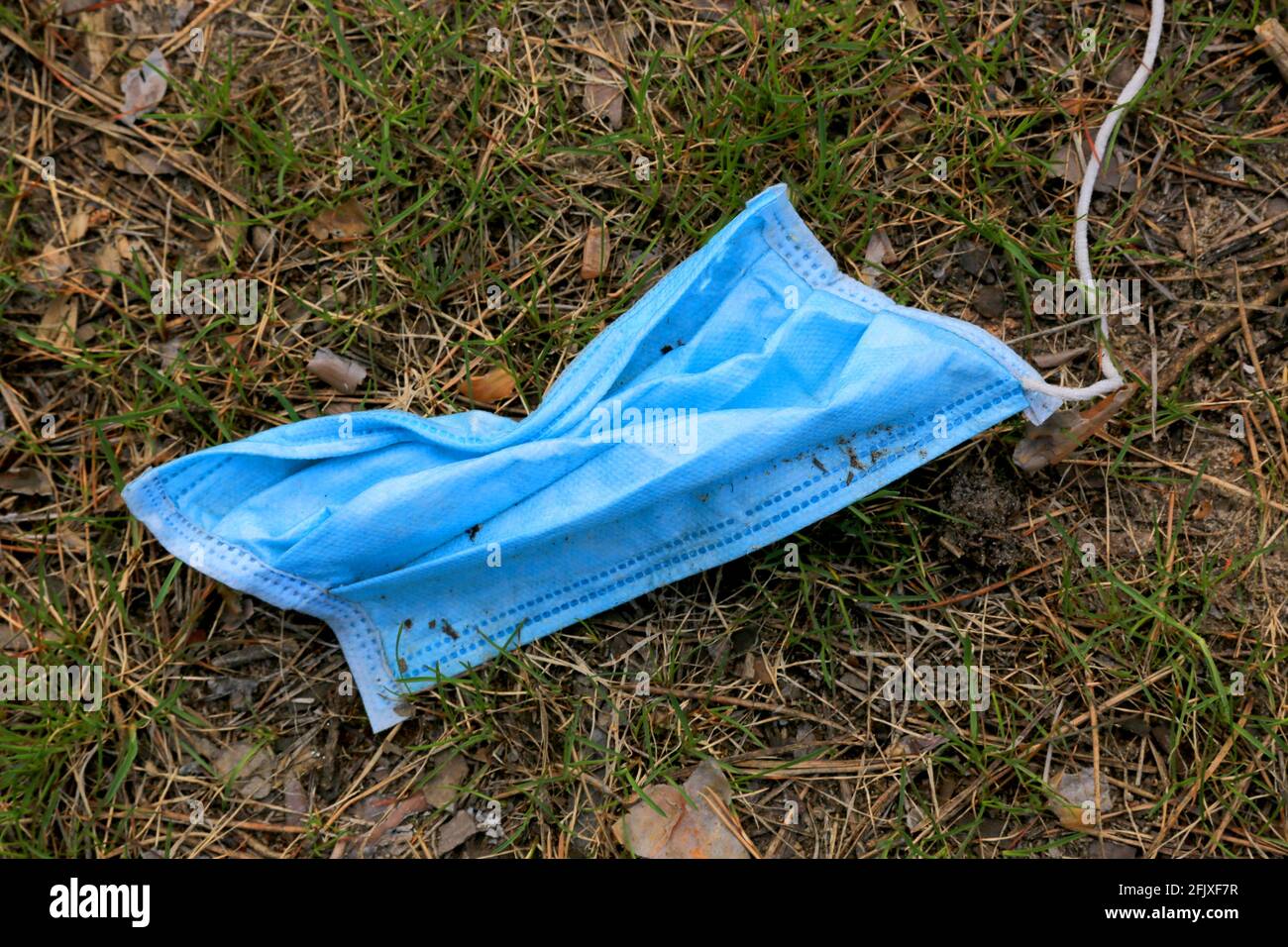 Verlorene Schutzmaske auf dem Gras. Covid-2019 Stockfoto