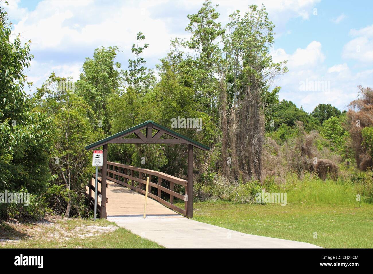 Lake Placid, Florida. Wunderschöne Landschaft mit einem Gehweg zum Istokpogasee. Stockfoto