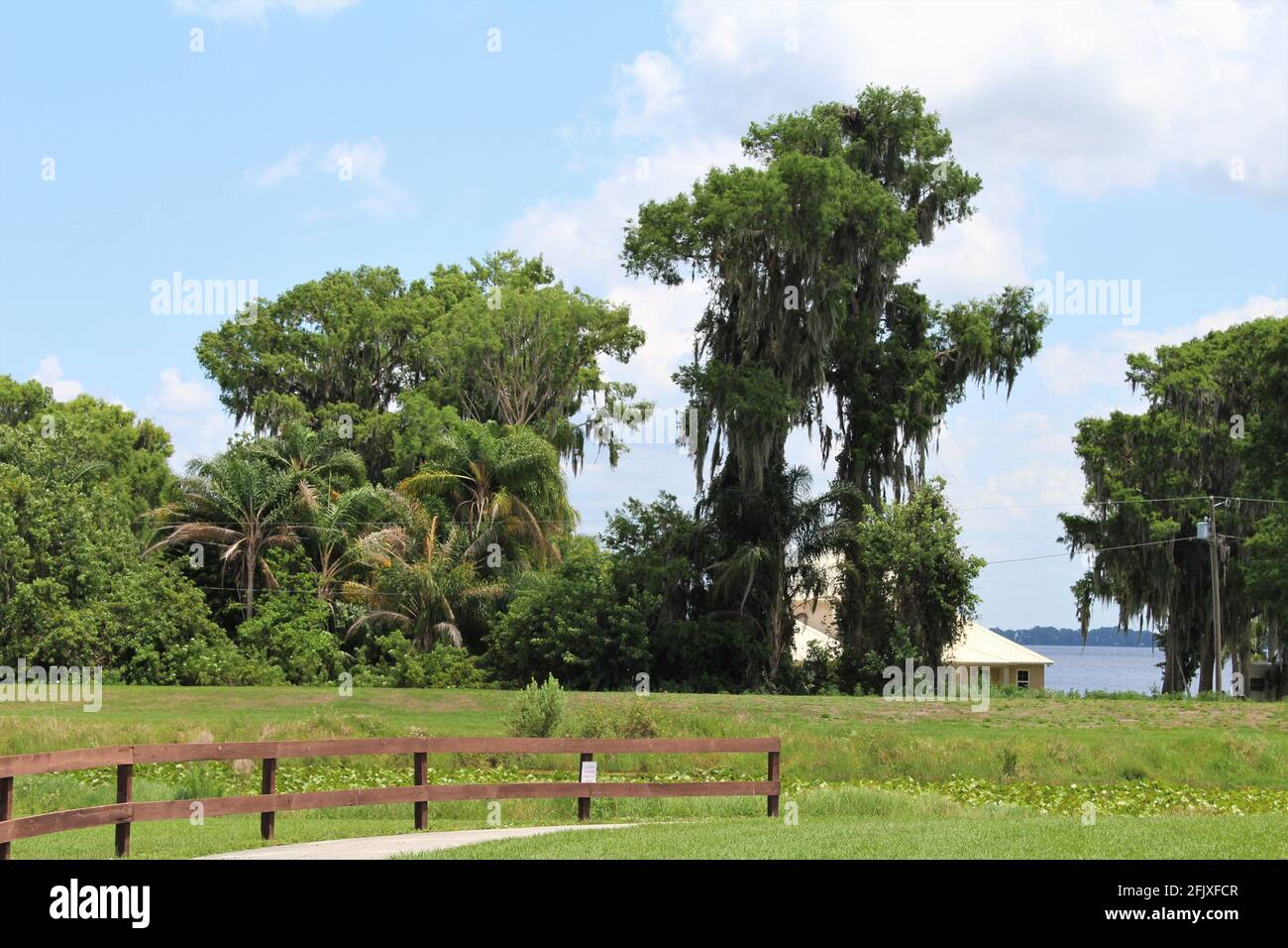 Öffentlicher Parkbereich in Lake Placid, Florida. Schöne Landschaft mit einem Haus im Hintergrund mit Blick auf den See Istokpoga. Stockfoto