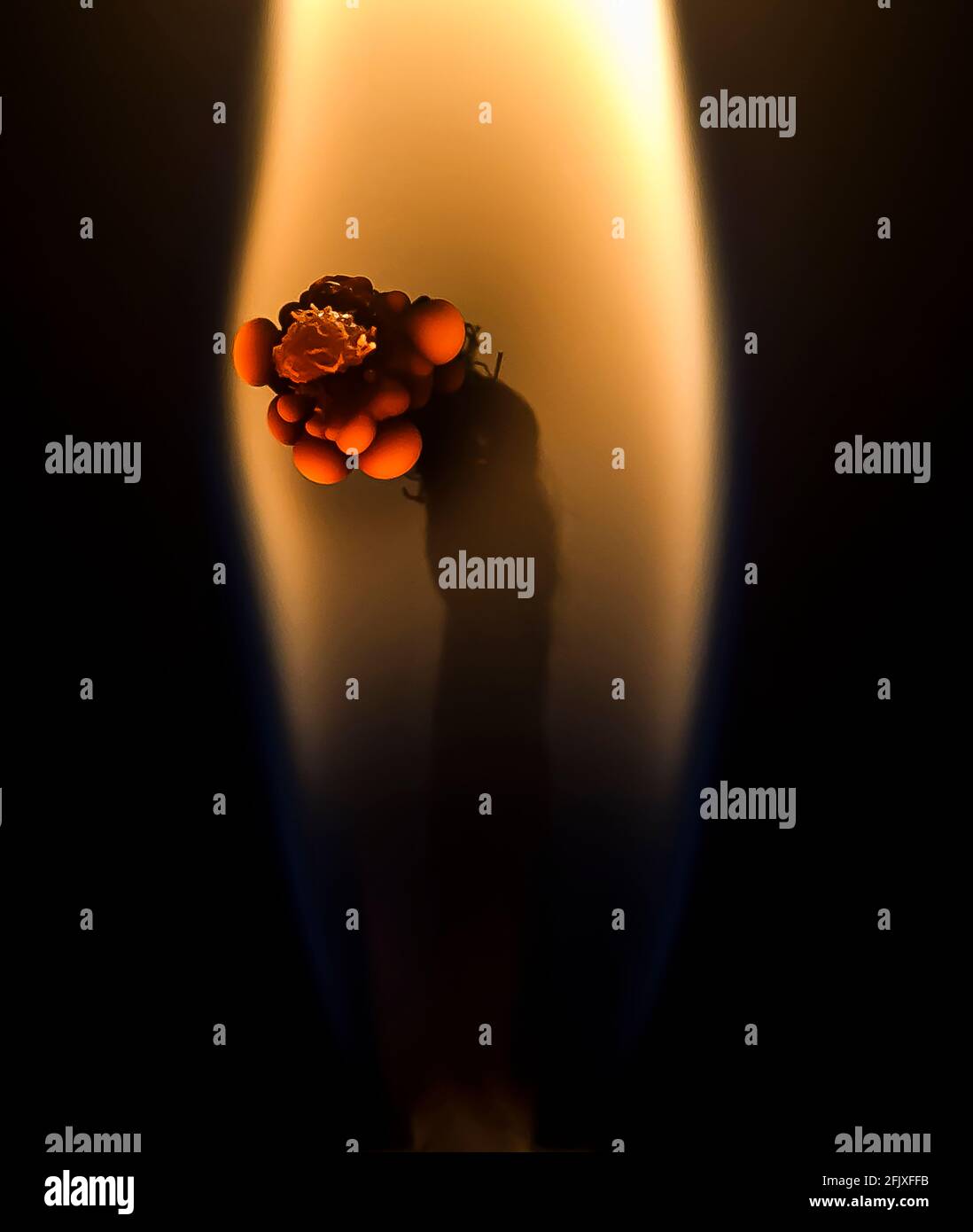 Makro einer Kerzenflamme Stockfoto