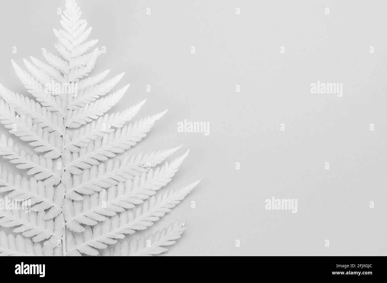 kunstpflanze 130 cm B-Ware Maiashop Knstliche Dracaena Kunstpflanze Baum 130 Cm Dekoratio