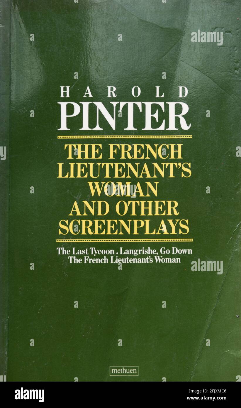 Das Buchcover der Drehbuchsammlung von Harold Pinter von Methuen Paperback, London, 1982 Stockfoto