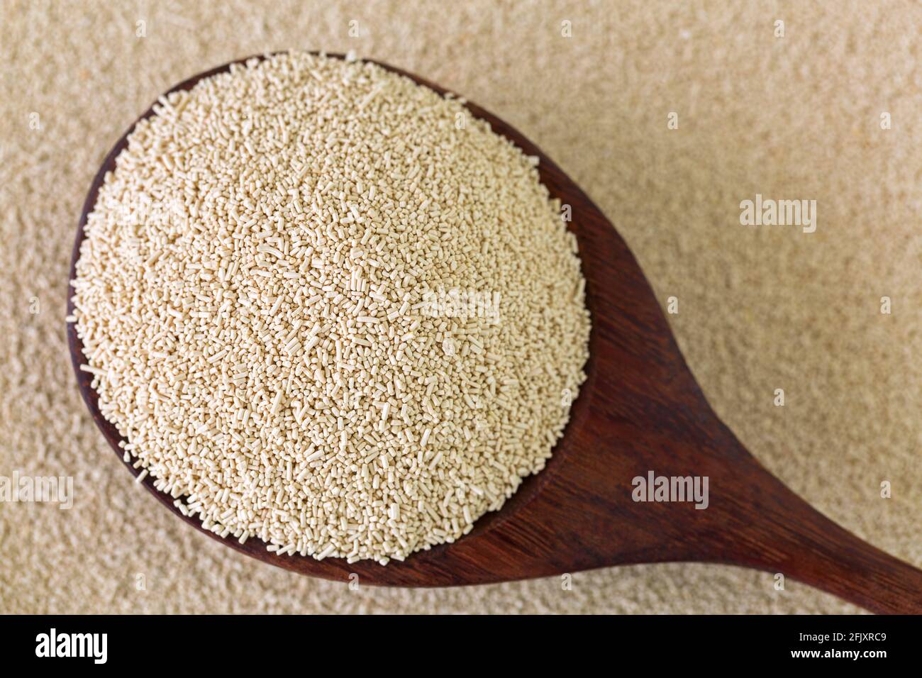 Active Dry Baking Hefe Granulat im Holzlöffel, Draufsicht Stockfoto