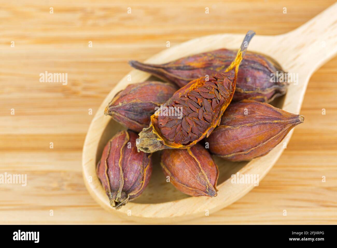 Getrocknete Früchte von Gardenia, auch Kapjasmin, Chija genannt, als gelber Farbstoff verwendet, traditionelle chinesische Medizin (Gardenia jasminoides fructus) Stockfoto