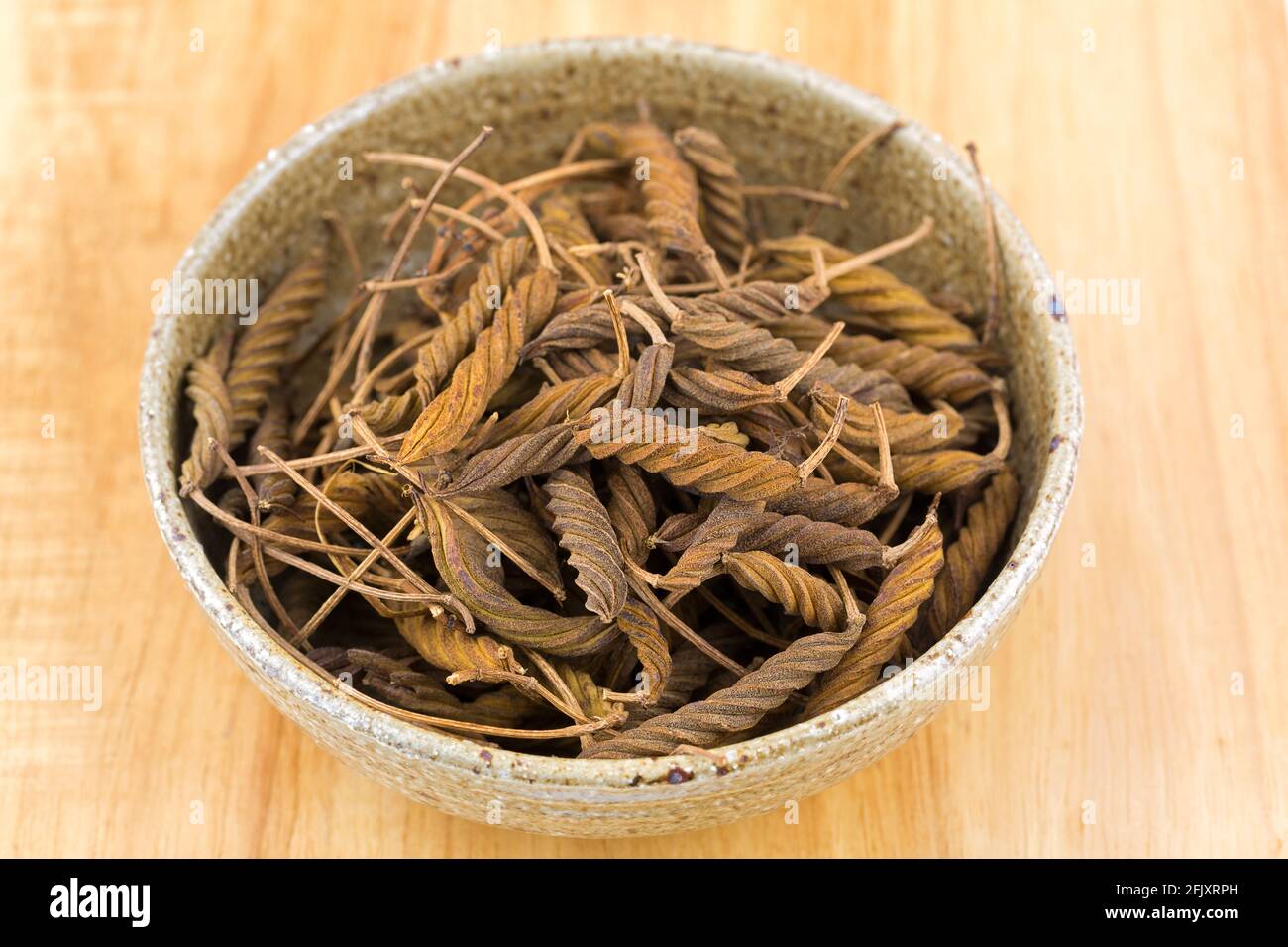 Getrocknete braune Frucht eines indischen Schneckenbaums, zusammengesetzte, verdrehte Hülse mit vielen medizinischen Eigenschaften, auf Holzhintergrund (Helicteres isora) Stockfoto