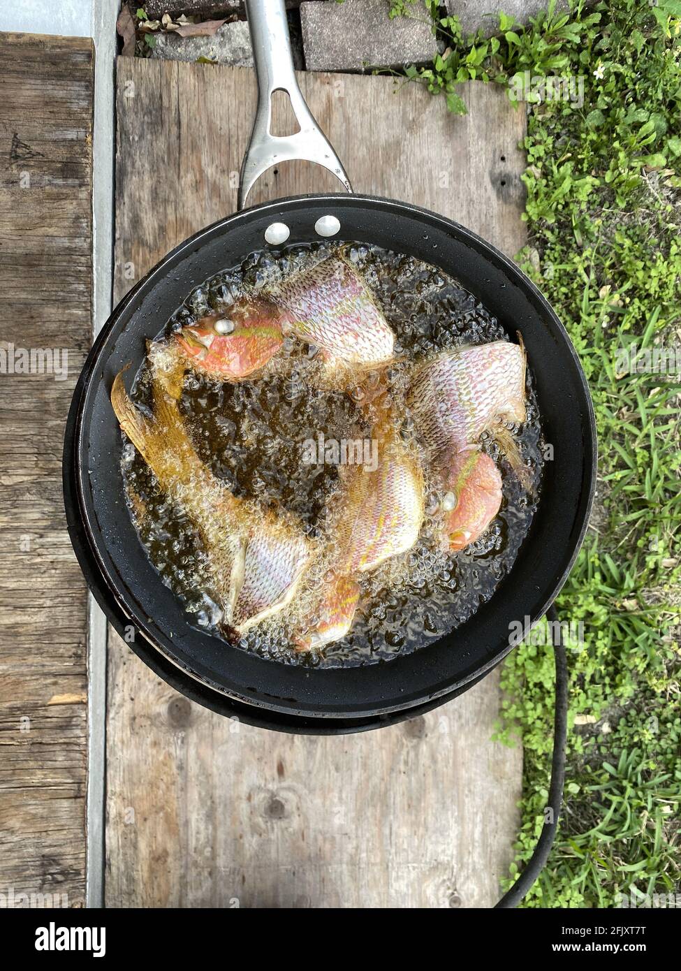 Fisch in einer Pfanne mit Öl im Freien zum Abendessen braten  Stockfotografie - Alamy