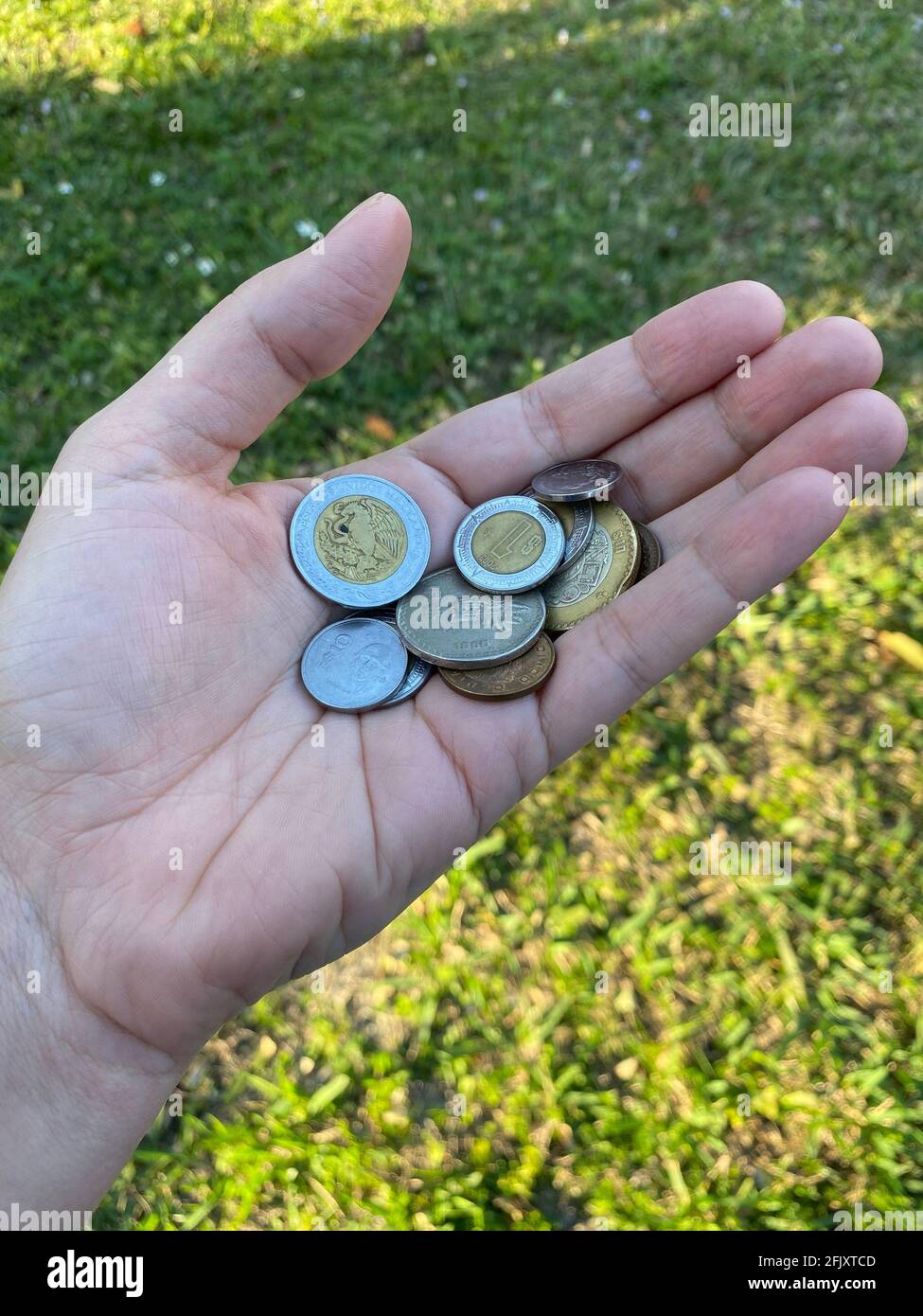 Eine Person, die ein paar mexikanische Münzen hält, wechseln. Mexikanische Währung. Stockfoto