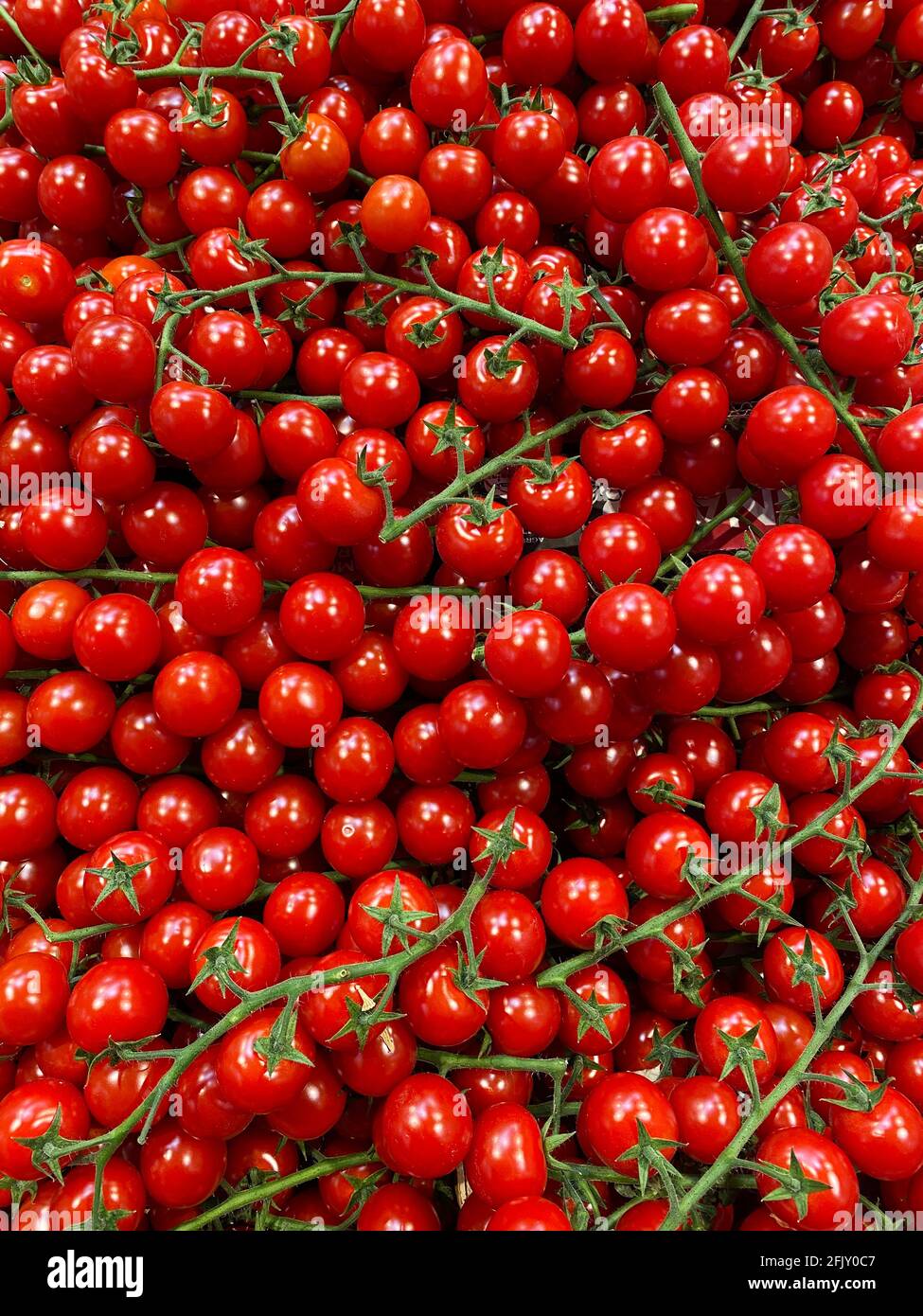 Frische Kirschtomaten auf dem Regal. Blick von oben Stockfoto