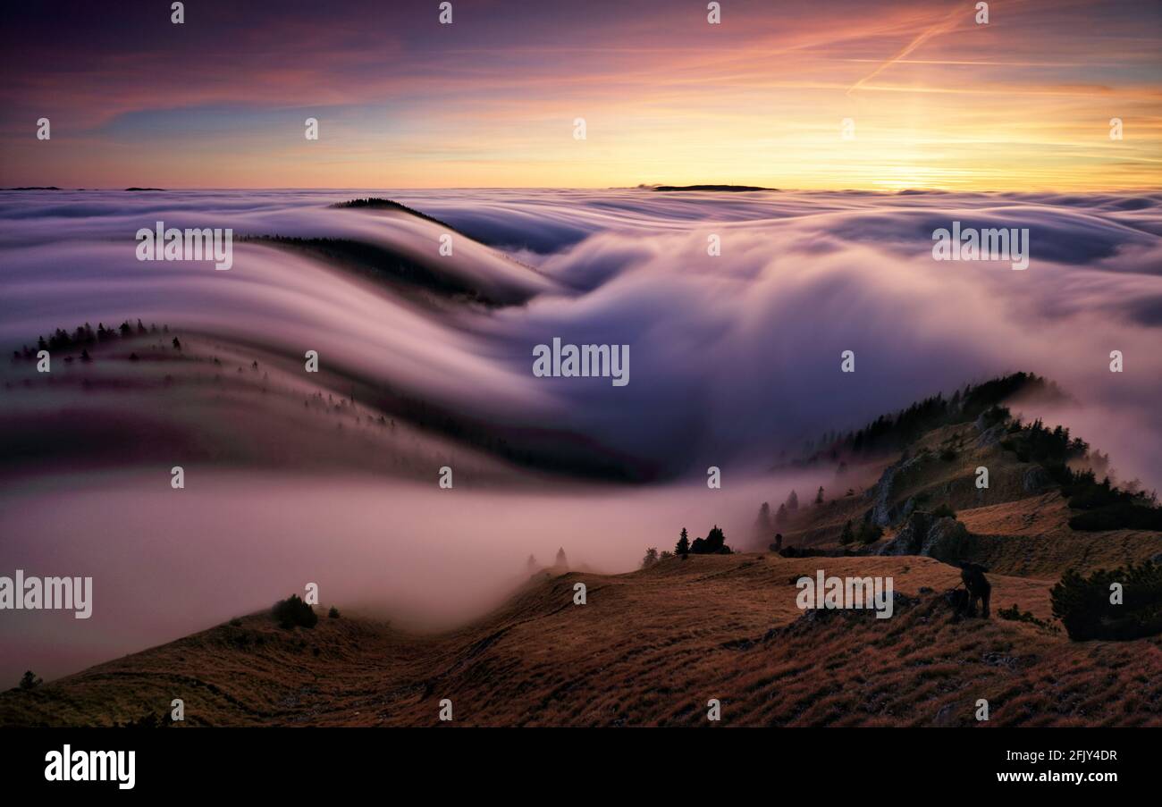 Sonnenuntergang im Herbst Berge über den Wolken während der Wetterumkehrung Fatra Berge in der Slowakei, schöne Landschaft Stockfoto
