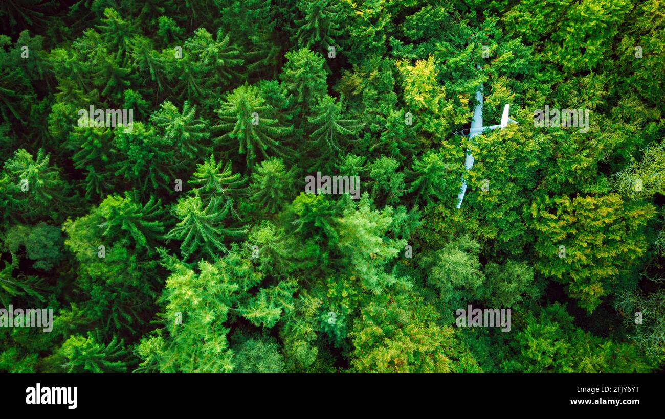 Crash landete Segelflugzeug in den Baumkronen in der Wald Stockfoto