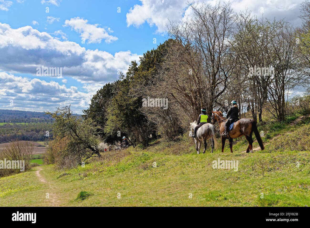 Zwei weibliche Reiter auf einem Reitweg auf White Downs In den Surrey Hills in der Nähe von Dorking Surrey England Stockfoto