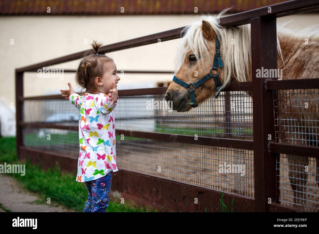 Ein kleines Mädchen von kaukasischem Aussehen genießt ein Pony Pferd in einem Stall auf einem Bauernhof. Glückliches Kind, Kommunikation mit Tieren, Zoo, Emotionen. Platz für tex Stockfoto