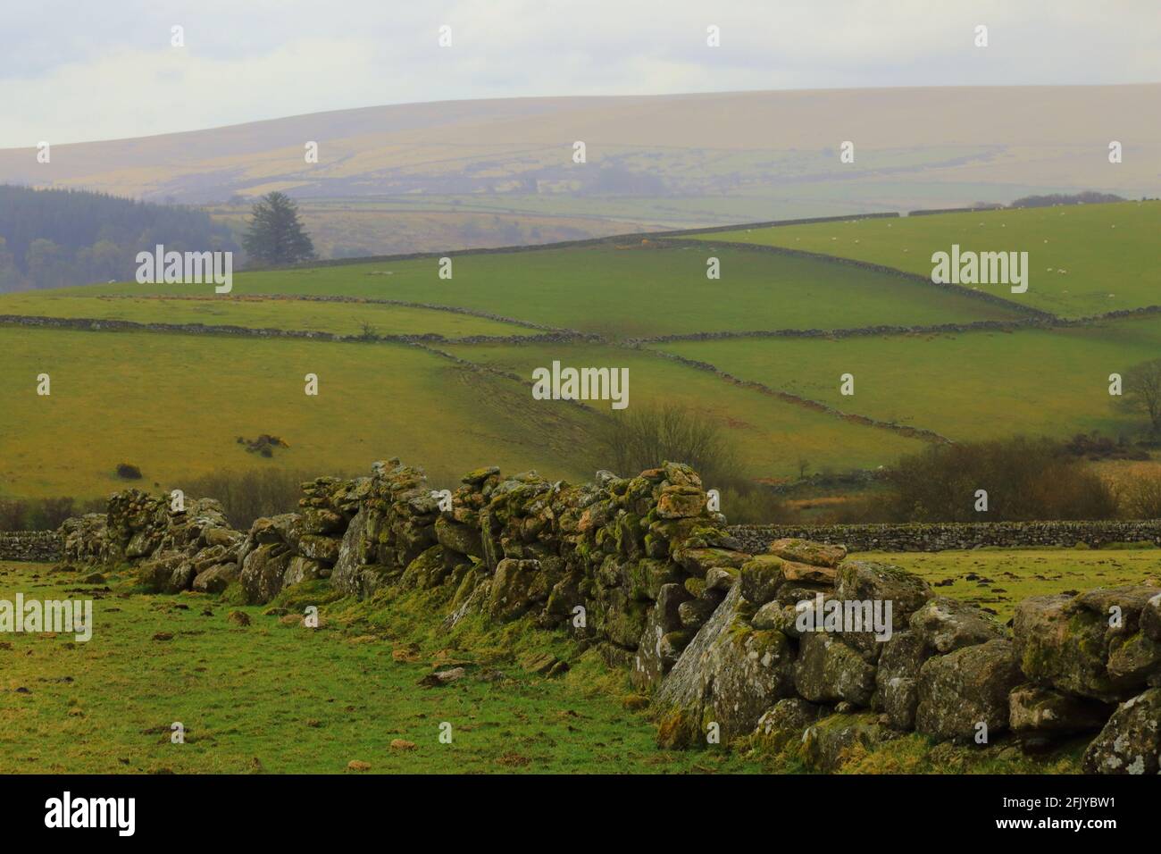 Steinmauer mit sanften Hügeln im Dartmoor National Park UK Stockfoto