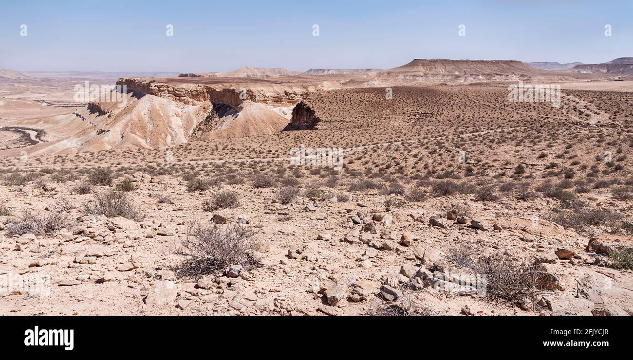 blick auf das Ramat Divshon Plateau hoch über dem Zin-Tal in Israel mit spärlicher Wüstenvegetation, Klippen und einem Wanderweg mit einem trüben Himmel Stockfoto