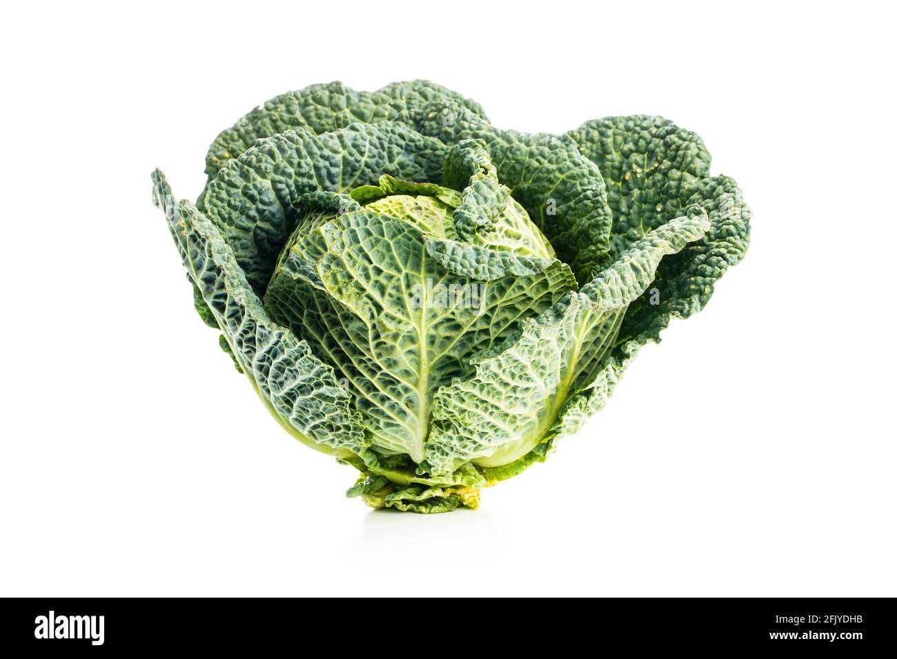 Grüner wirsing-Kohl isoliert auf weißem Hintergrund. Stockfoto