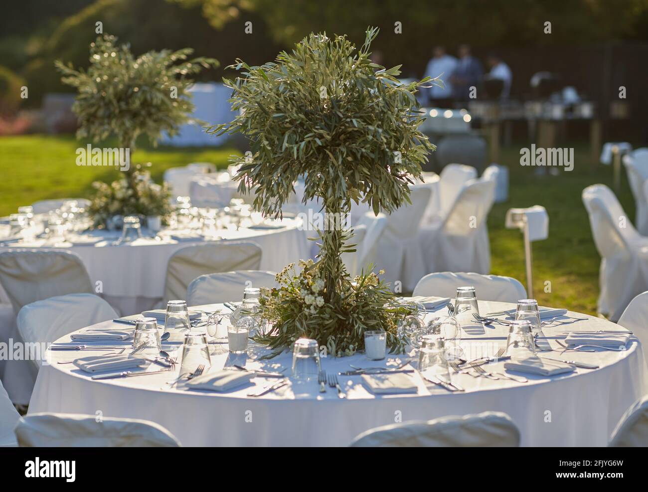 Hochzeit. Bankett. Die Stühle und runden Tisch für die Gäste, serviert mit Besteck, kleinen Olivenbaum und mit einer weißen Tischdecke bedeckt Stockfoto