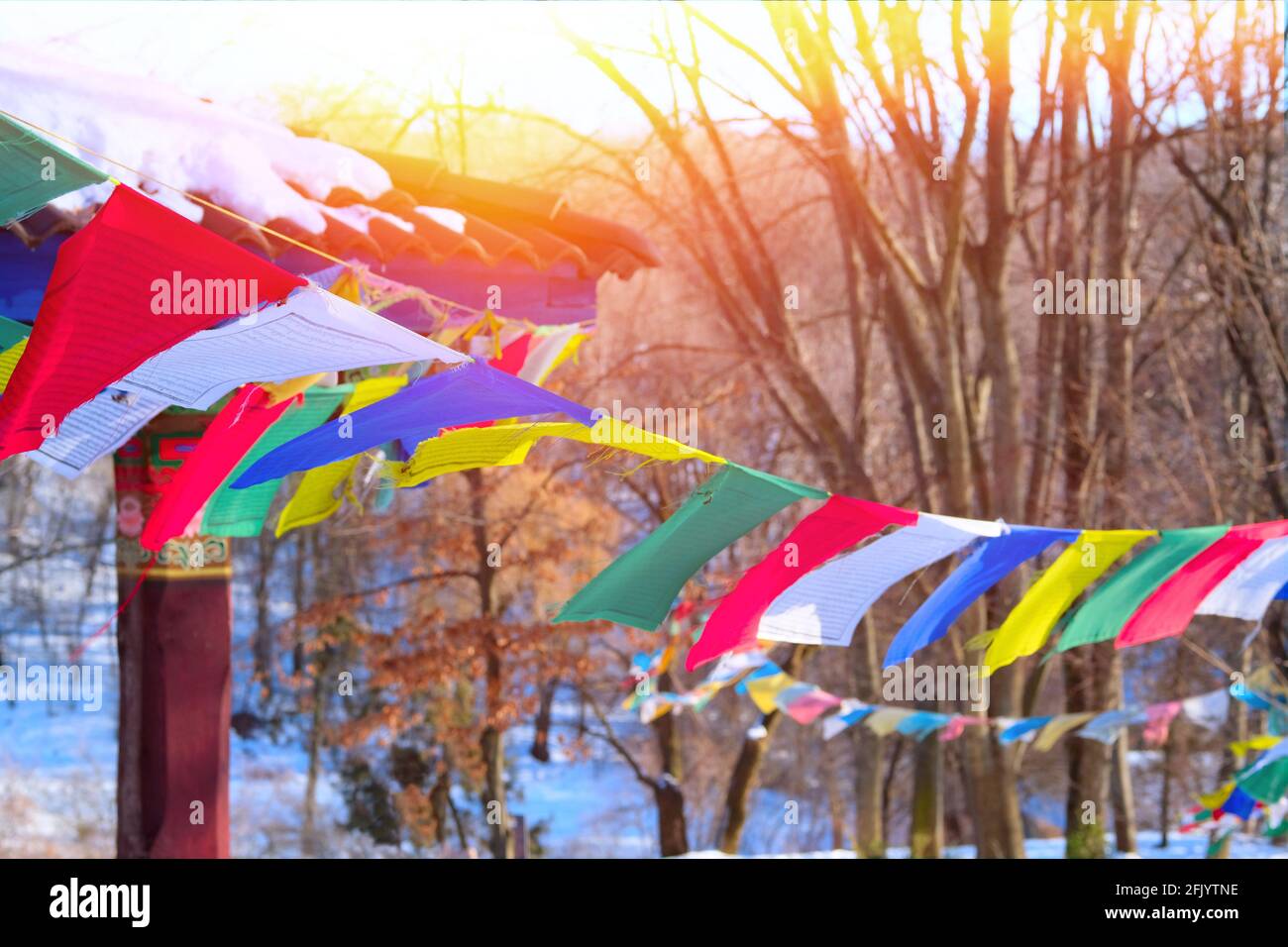 Buddhistische tibetische Gebetsfahnen fliegen auf dem Hintergrund von Bäumen auf Wind. Sonnenlicht sichtbar durch zahlreiche bunte Gebetsfahnen. Stockfoto