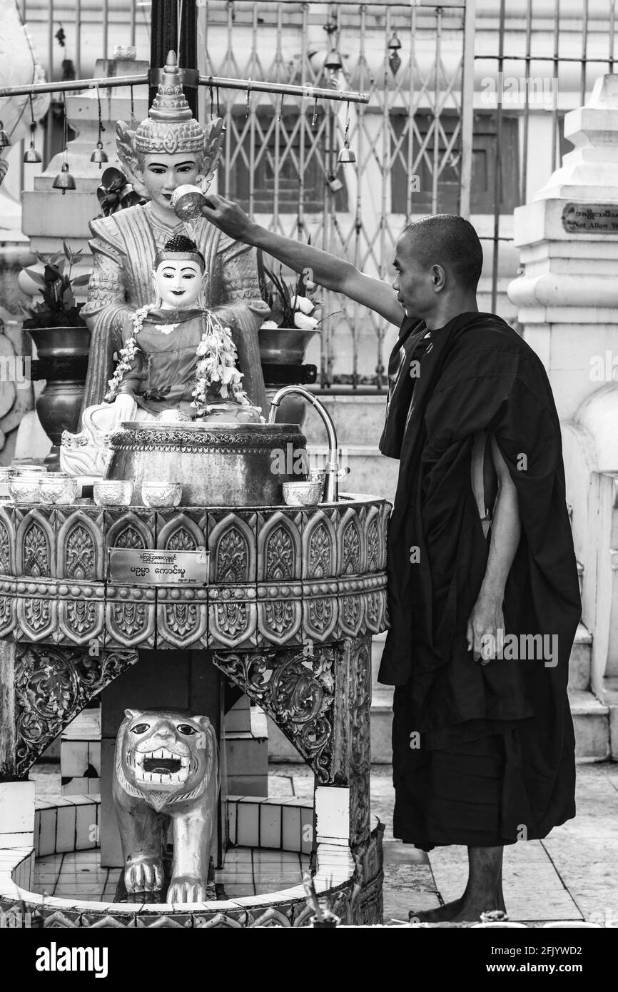 Ein buddhistischer Mönch gießt Wasser über EINE Buddha Statue in der Shwedagon Pagode, Yangon, Myanmar. Stockfoto