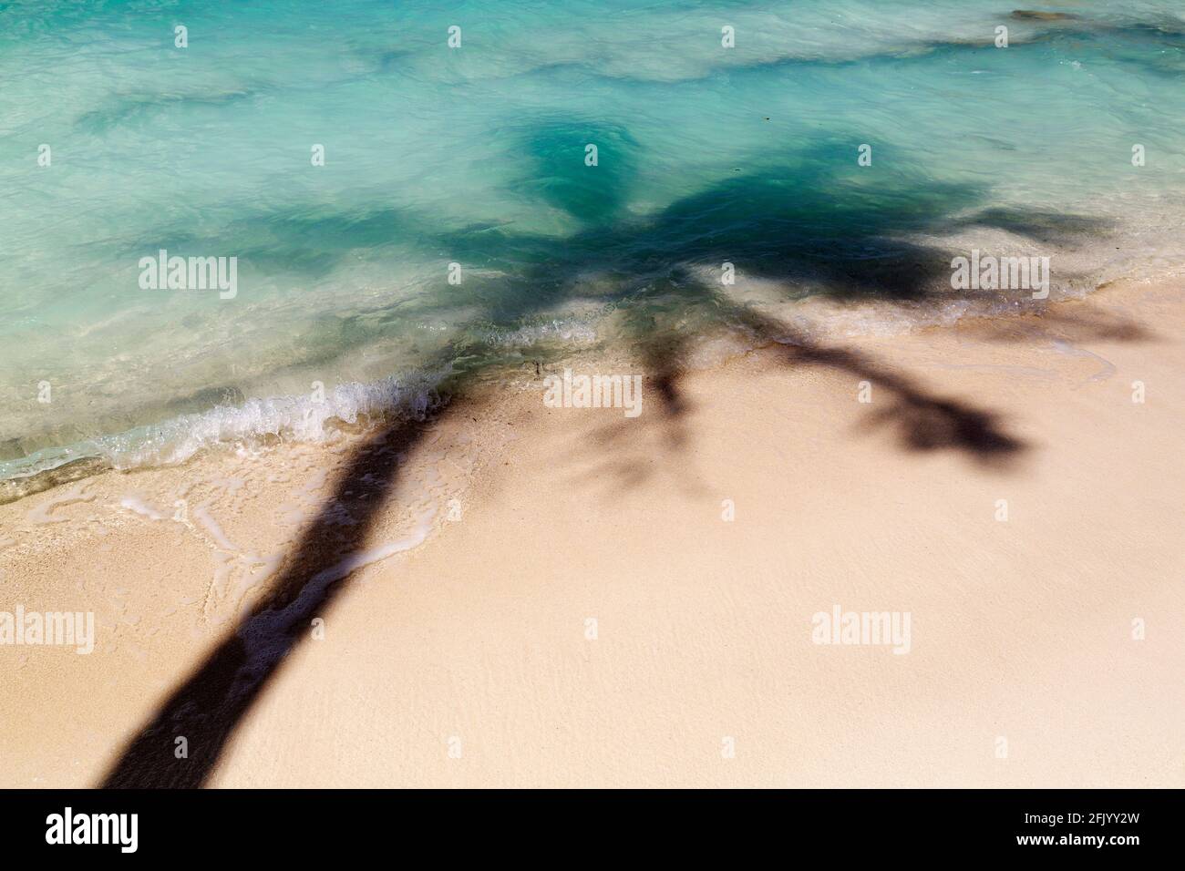 Schatten einer Palme auf Bandos Island auf den Malediven. Die Malediven sind ein beliebtes tropisches Urlaubsziel im Indischen Ozean. Stockfoto