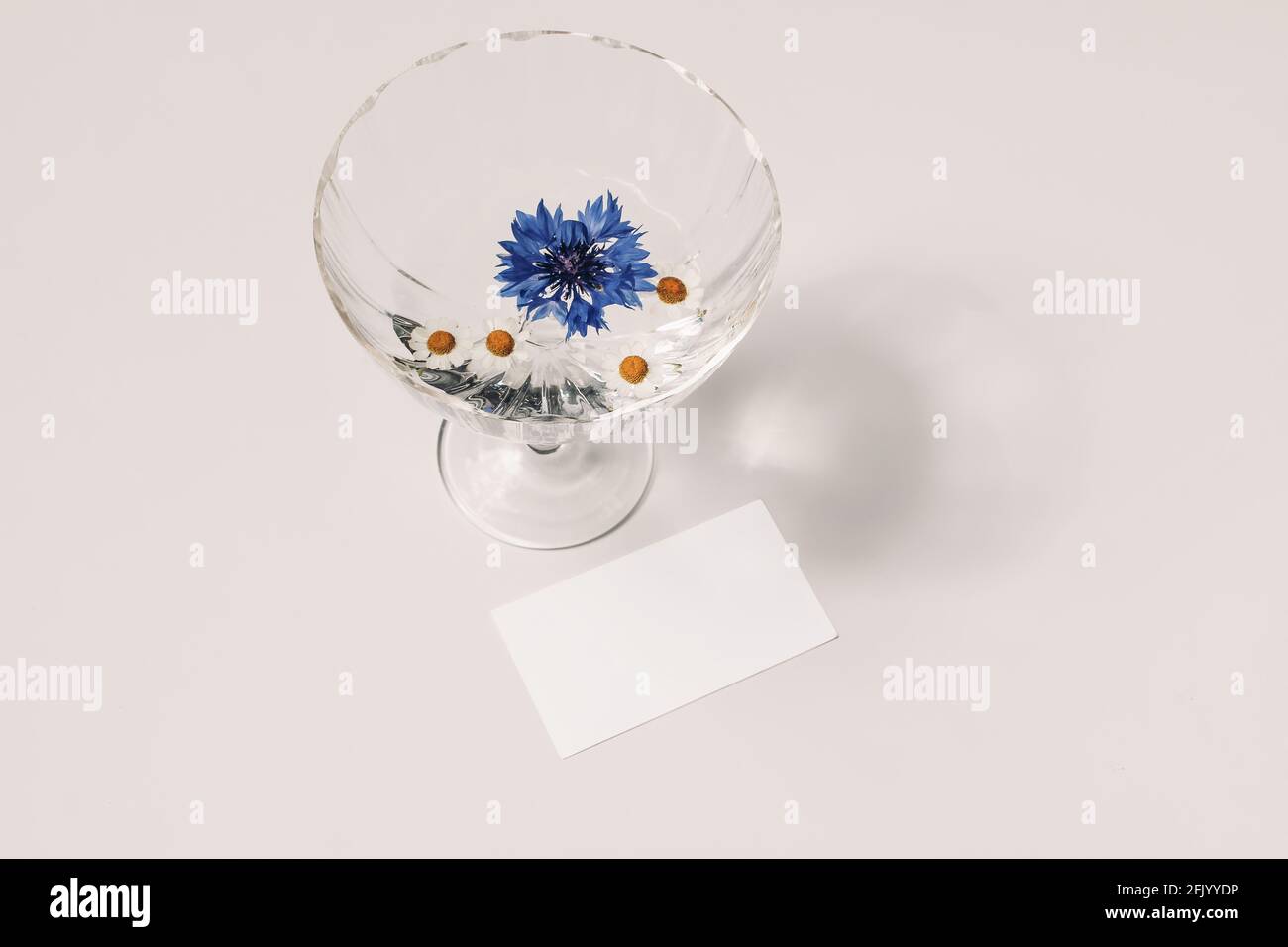 Modernes Sommerstill-Leben. Glas Wasser, Cocktail mit blauer Kornblume und Kamillenblüten. Lange Schatten. Beigefarbener Tischhintergrund im Sonnenlicht. Leer Stockfoto