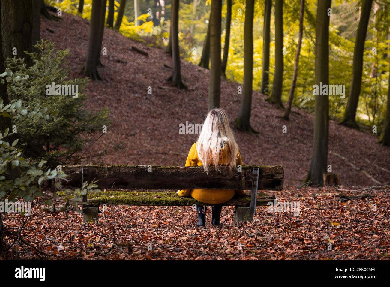 Blonde Frau im gelben Mantel sitzt allein auf einer Bank und blickt in den Herbstwaldes Stockfoto