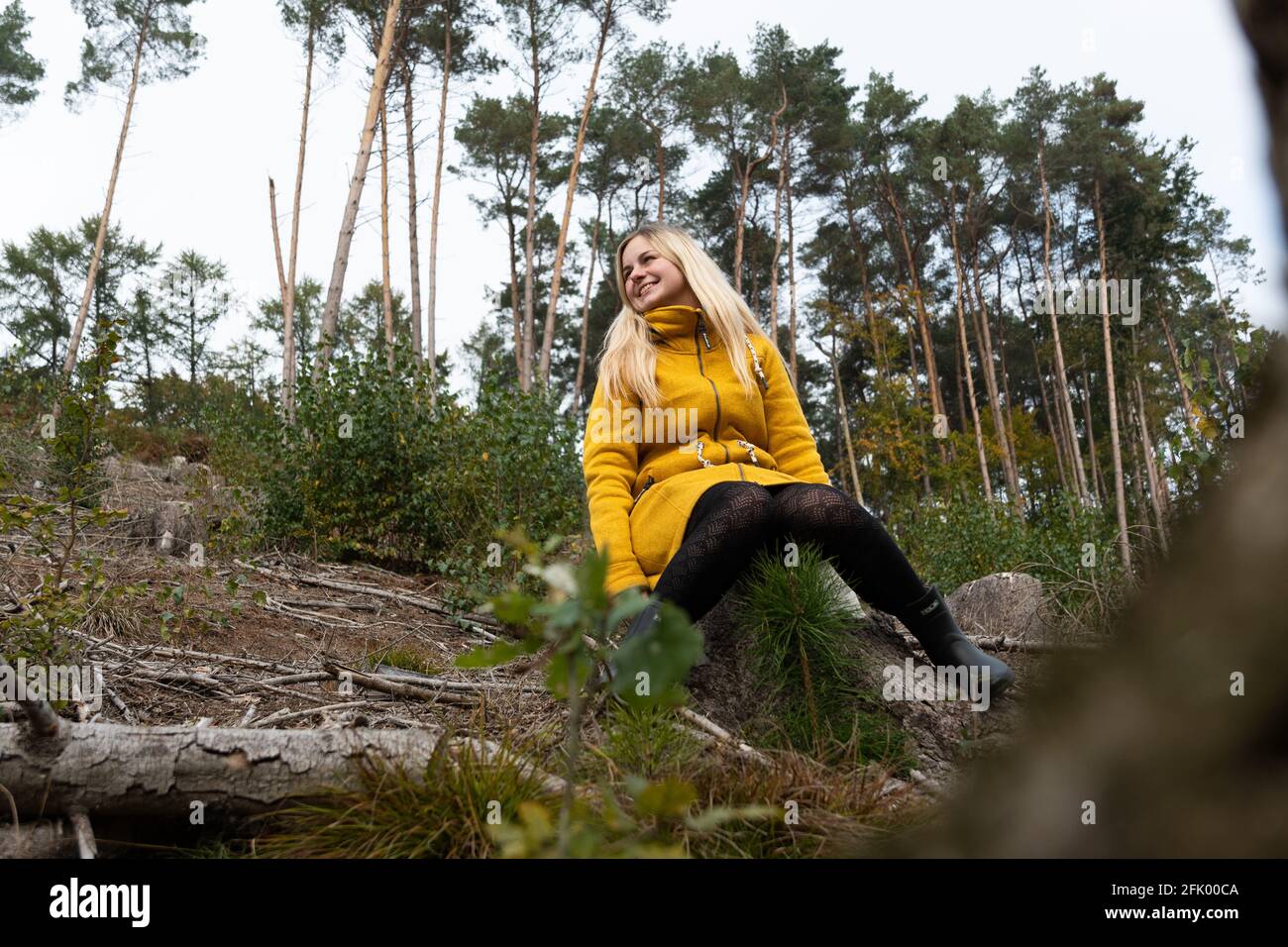 Blonde Frau im gelben Mantel sitzt im Herbstwaldes. Entspannen im Wald Stockfoto