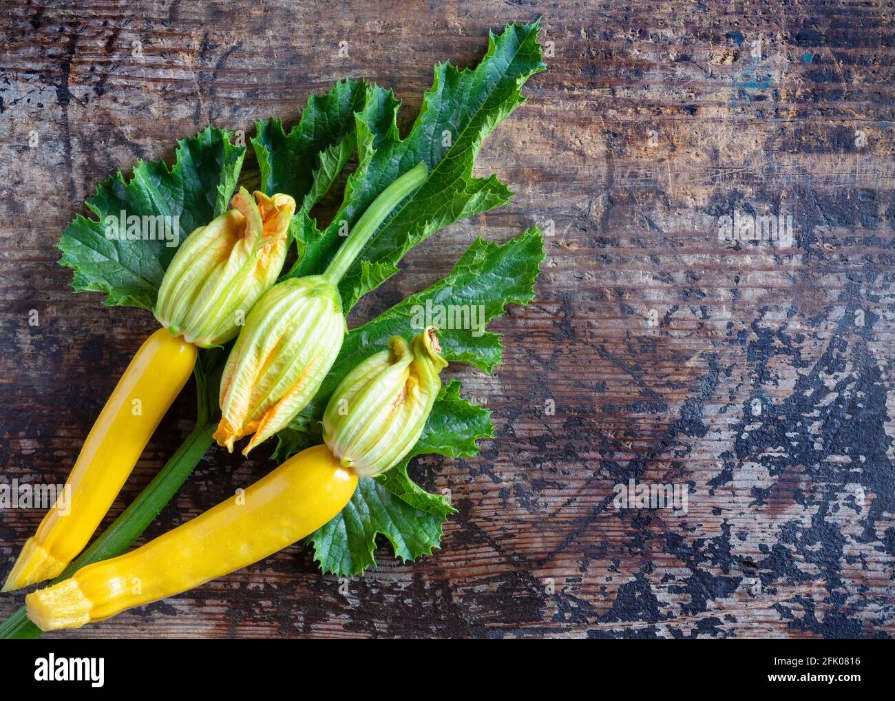 Fleischlich gepflückte, goldene Zucchini-Zucchini-Blüten auf einem großen grünen Blatt Mit einem alten hölzernen Hintergrund kopieren Raum auf die rechte Hand Seite Stockfoto