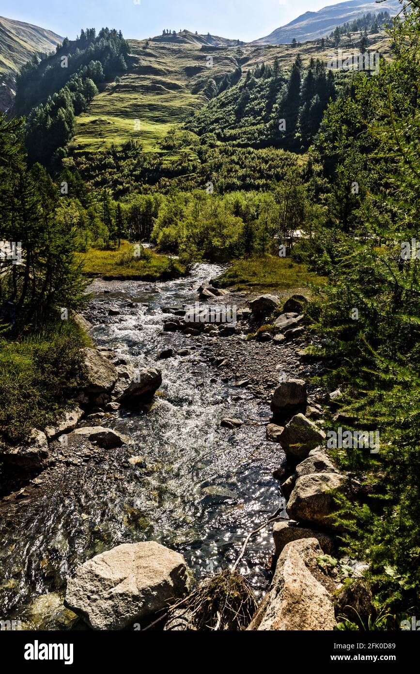 Fluss Dora, Val Ferret, Monte Bianco, Courmayeur; Aostatal; Italien; Europa Stockfoto