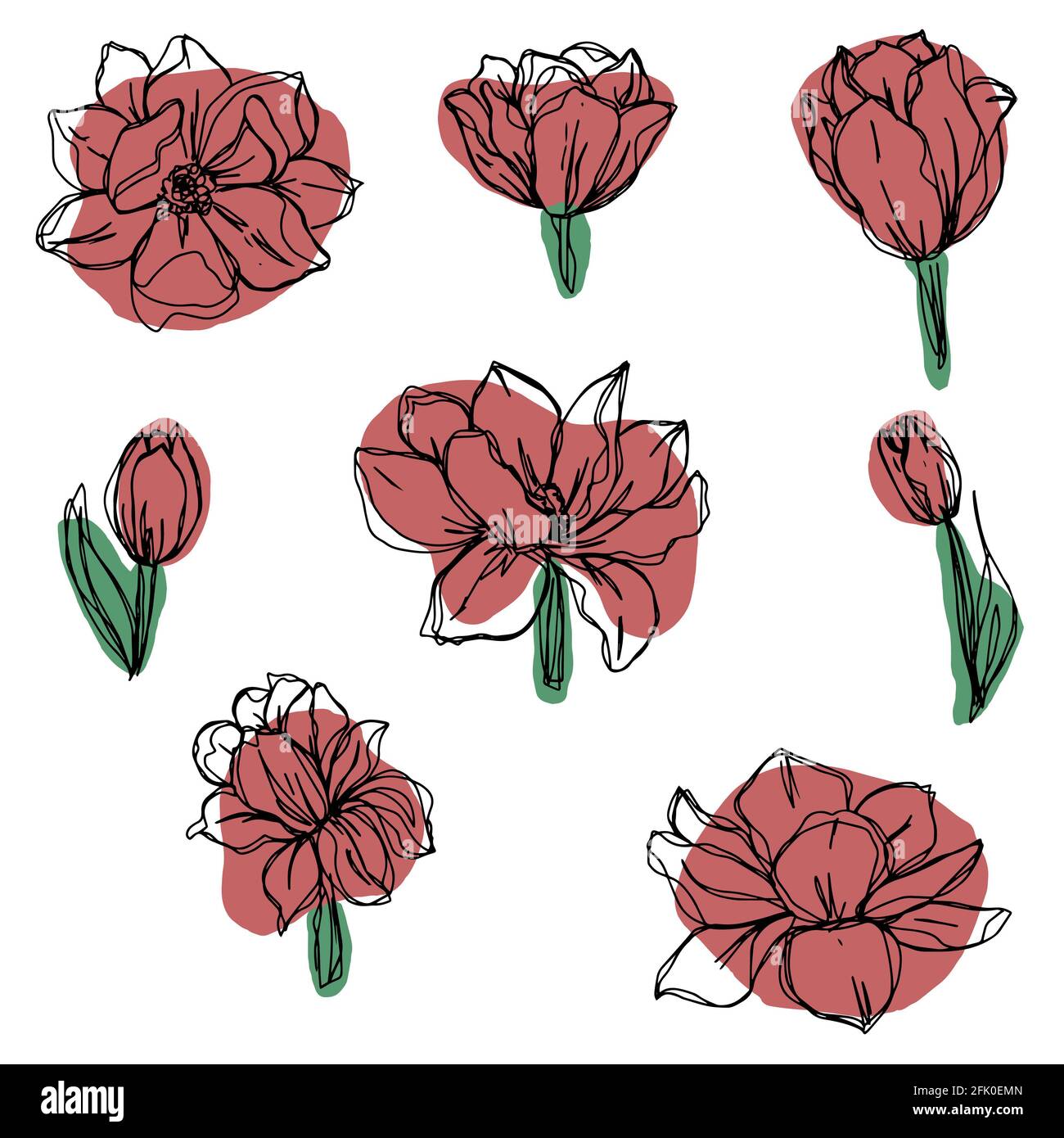 botanical floristic Set Kontur Blumen Pfingstrosen, Mohnblumen und Tulpen offenen Knospen und geschlossen. Vektor isolierte minimalistische Terrakotta-Blumen Stockfoto