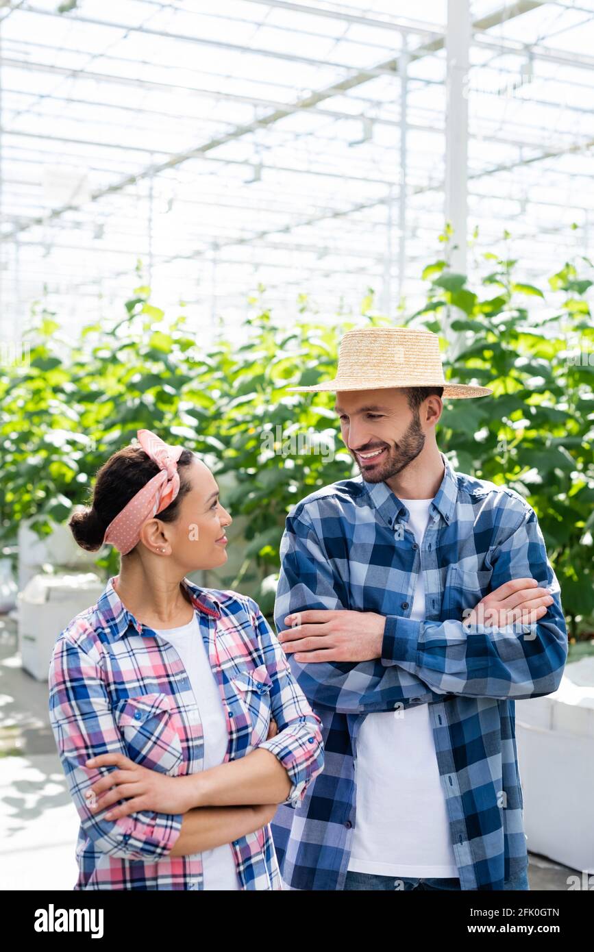 Fröhliche interracial Bauern lächeln einander an, während sie mit stehen Gekreuzte Arme im Gewächshaus Stockfoto