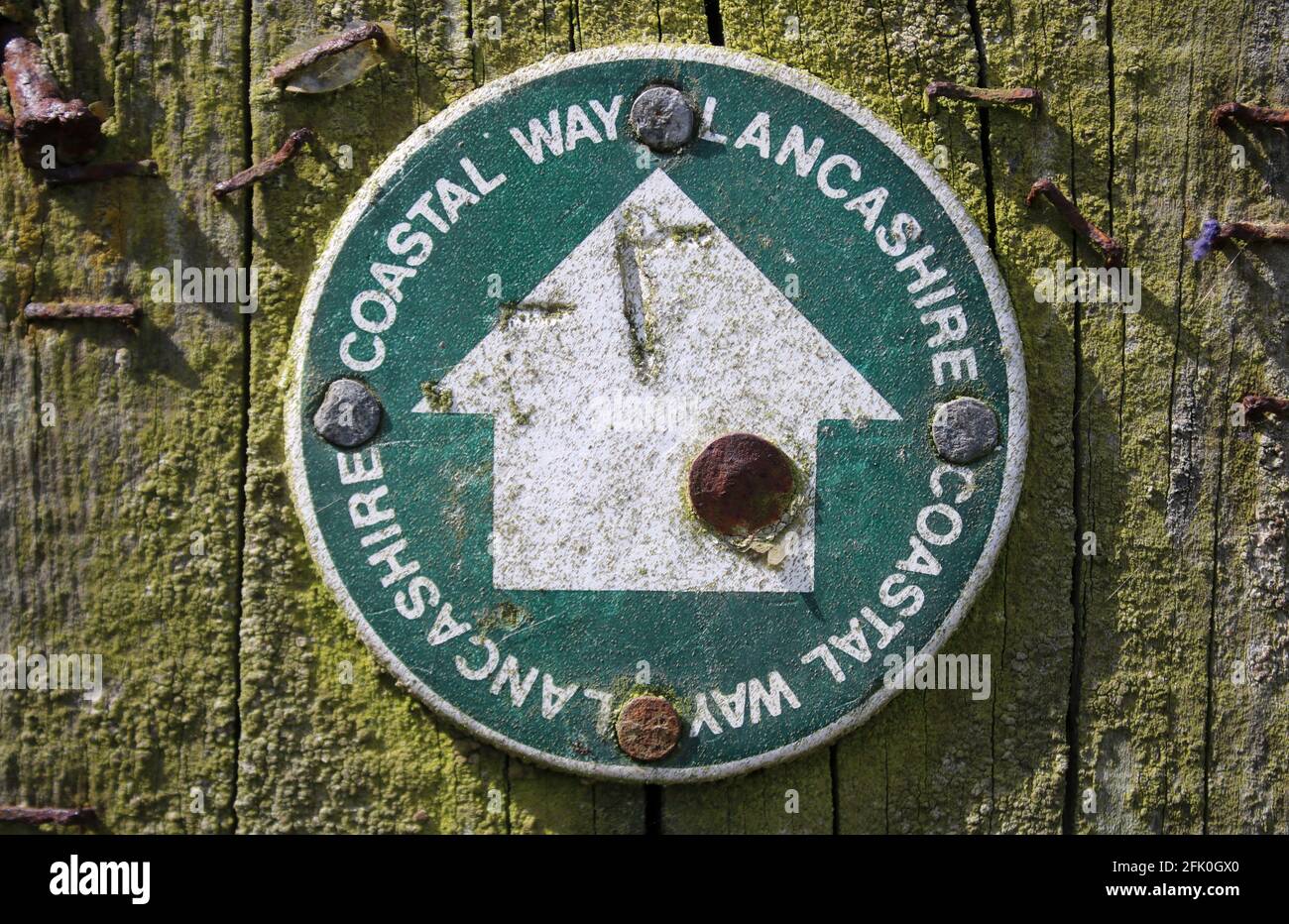 Weißer Pfeil auf grünem Hintergrund, der die Richtung für den Lancashire Coastal Way auf einem Holzpfosten am Lane Ends Amenity Area, Pilling, Lancashire zeigt. Stockfoto