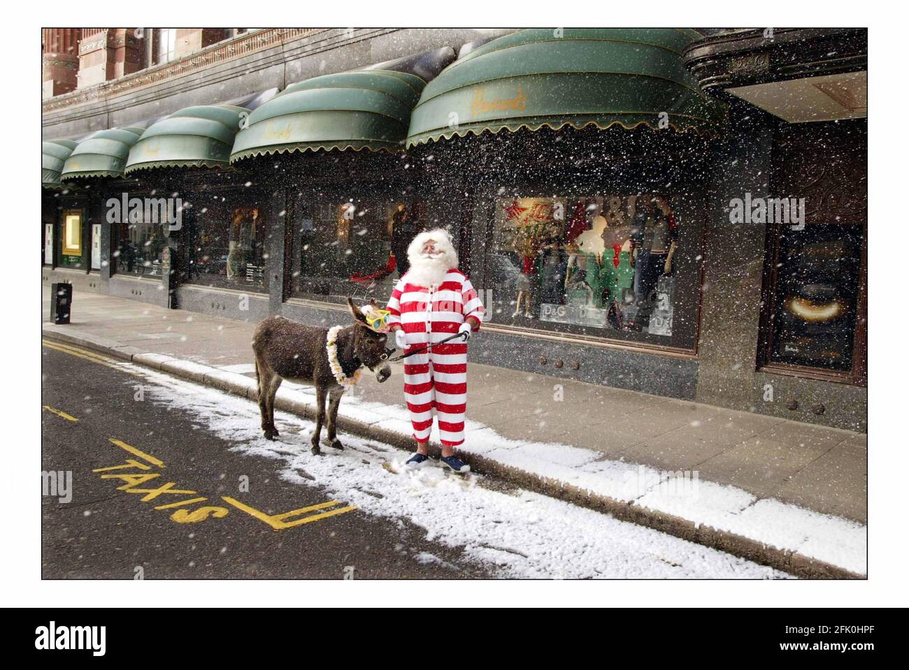 Vater Weihnachten und sein Seesel Dino posieren für Fotos vor einem schneebedeckten Harrods, bevor sie die Gäste am 9. August 2005 in London, England, im dritten Stock des Knightsbridge Stores auf eine Tour durch die Weihnachtswelt nehmen. Über 15.000ft qm Fläche sind Weihnachten im gesamten Geschäft gewidmet. Mit einer künstlichen Schneemaschine, die gegen die Sommerwärme kämpft, kommen Pater Christmas und sein Seesel Dino vor einem schneebedeckten Eingang nach Harrods zum Start von Christmas World im Knightsbridge Store in London an. Bild David Sandison 9/8/2005 Stockfoto