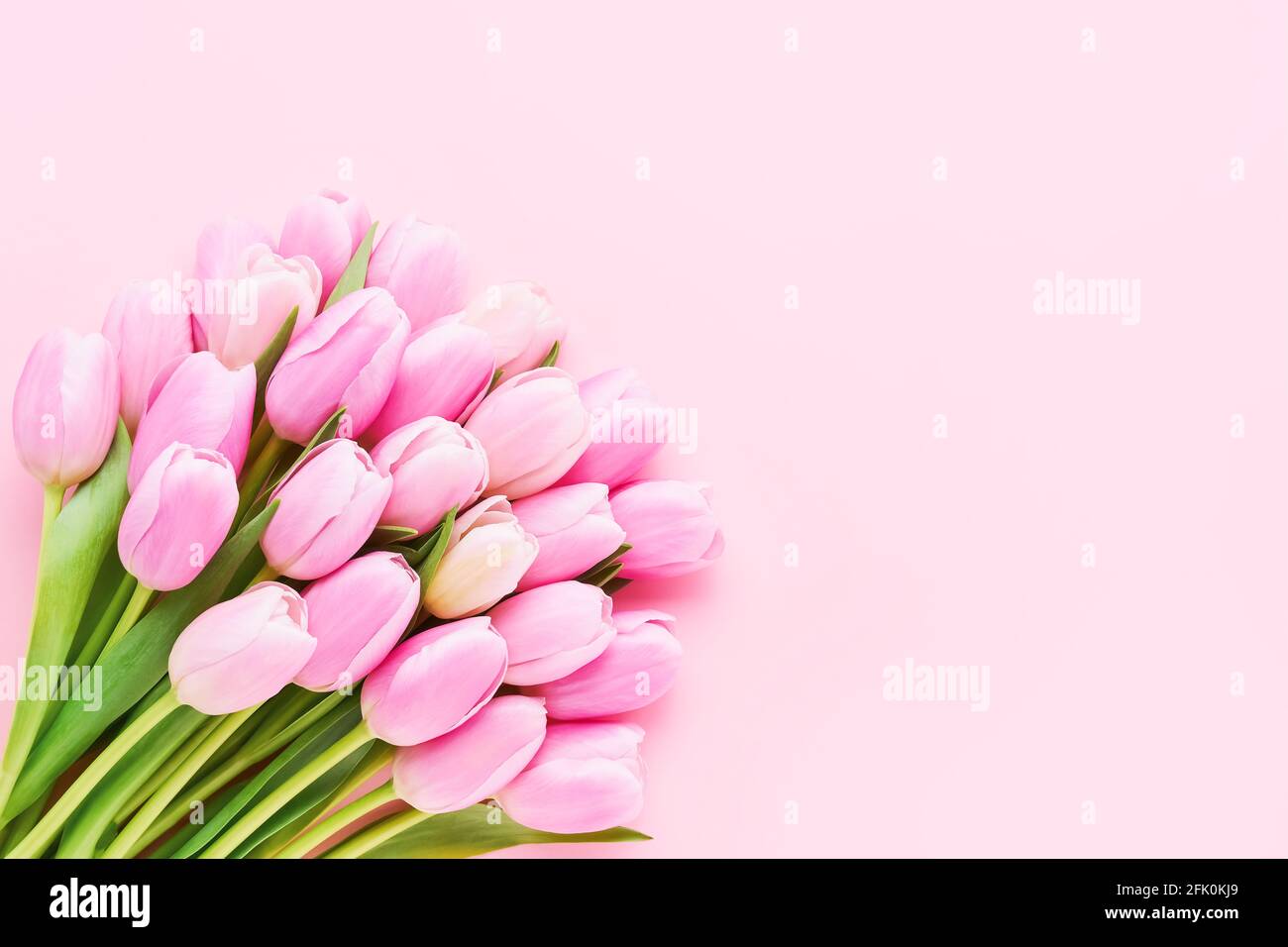 Bouquet von rosa Tulpenblüten auf einem rosa Hintergrund, selektiver Fokus. Muttertag, Geburtstagsfeier Konzept. Draufsicht, Platz für Text kopieren Stockfoto