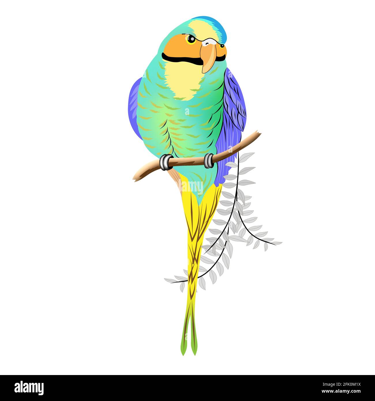 Papagei Ara Sitzt Auf Den Zweig Malvorlagen Vogel Stock Vektorgrafik Alamy
