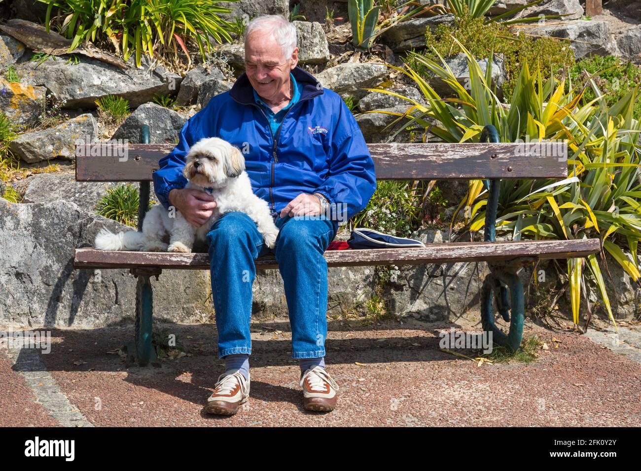 Mann entspannt sich und genießt die Sonne in Alum Chine Tropical Gardens mit seinem Lhasa Apso Hund in Bournemouth, Dorset UK an einem warmen sonnigen Tag im April Stockfoto