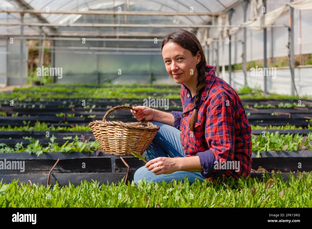 Ehrliches Porträt einer glücklichen Frau, die in einem Gewächshaus arbeitet. Konzept: Nachhaltige Landwirtschaft, natürliche Nahrungsmittelindustrie Stockfoto