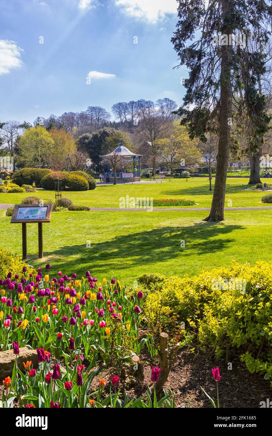 Pageant Gardens, Sherborne, Dorset UK an einem warmen sonnigen Tag im April - farbenfrohe Tulpen und Bandstand während der Sperrung der Coronavirus-Pandemie von Covid 19 Stockfoto
