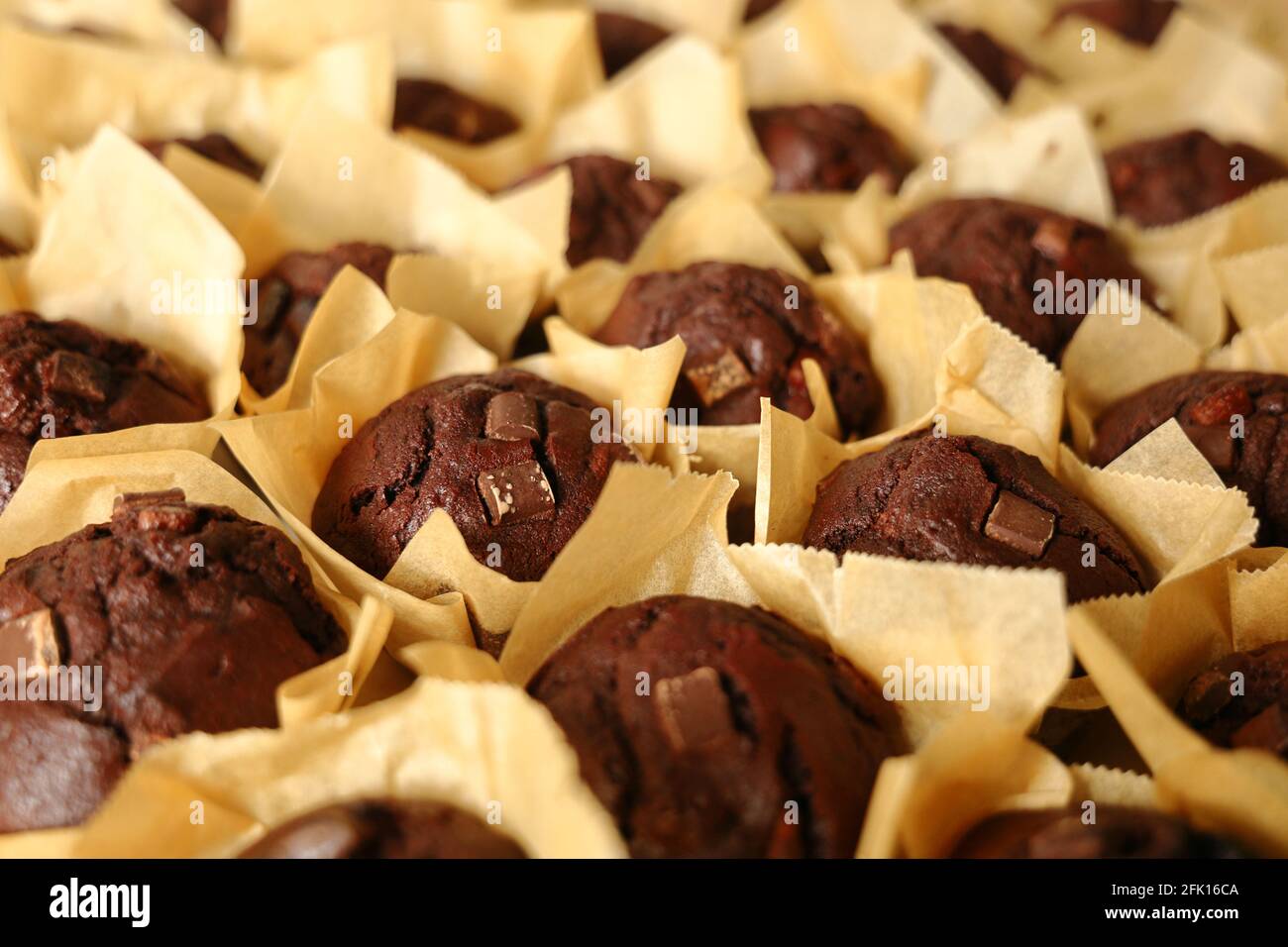 Tablett mit Schokoladen-Muffins Stockfoto