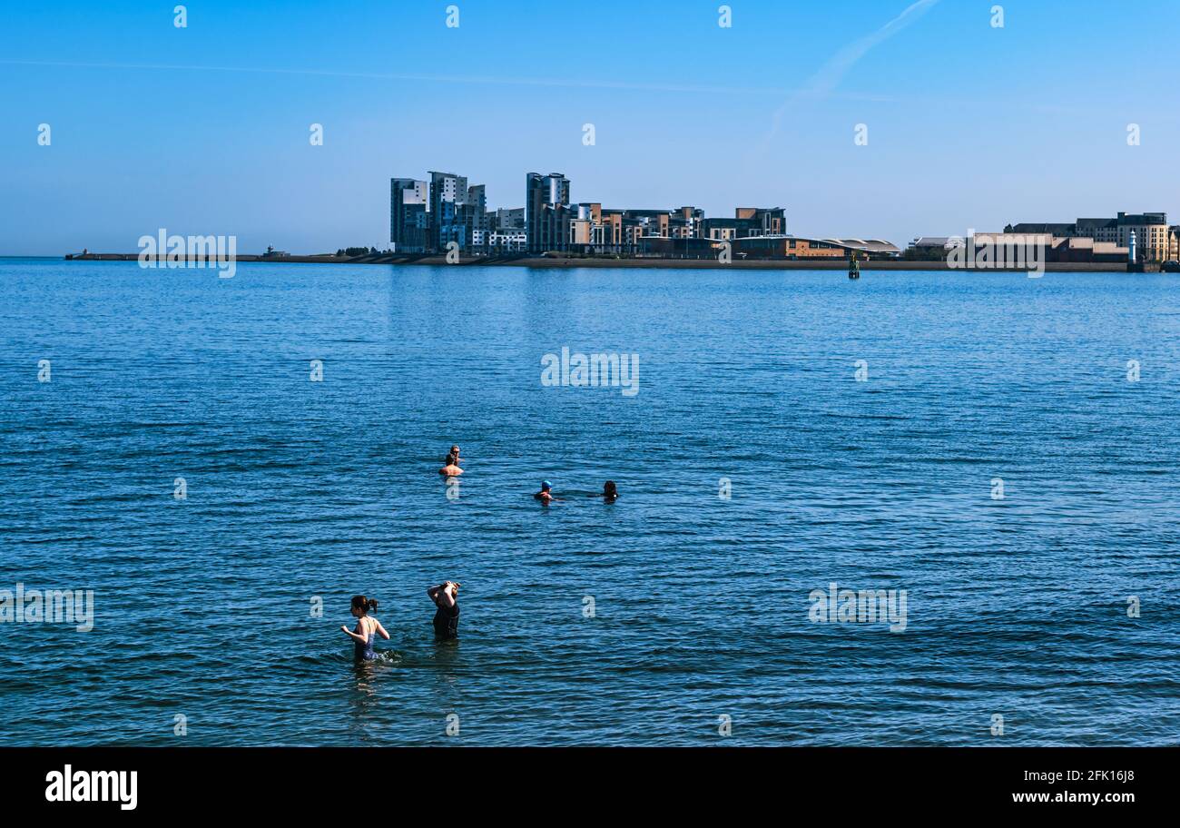 Wildschwimmer in Firth of Forth am Granton Beach oder in Wardie Bay mit Platinum Point, Edinburgh, Schottland, Großbritannien Stockfoto