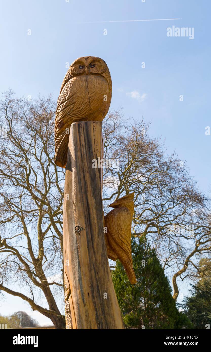 Pageant Gardens, Sherborne, Dorset UK im April - Holzschnitzerei mit geschnitzter Eule auf Baumstamm und Holzspecht an der Seite Stockfoto