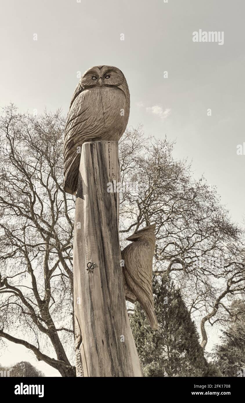 Pageant Gardens, Sherborne, Dorset UK im April - Holzschnitzerei mit geschnitzter Eule auf Baumstamm und Holzspecht an der Seite Stockfoto