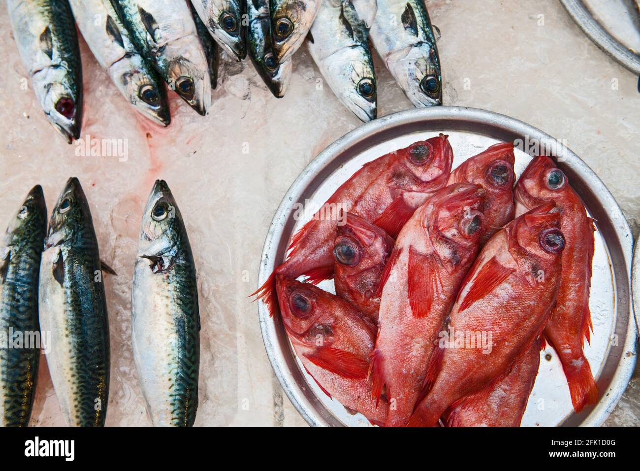 Präsentation von frischem Fisch auf dem Produce Market in Korea Stockfoto