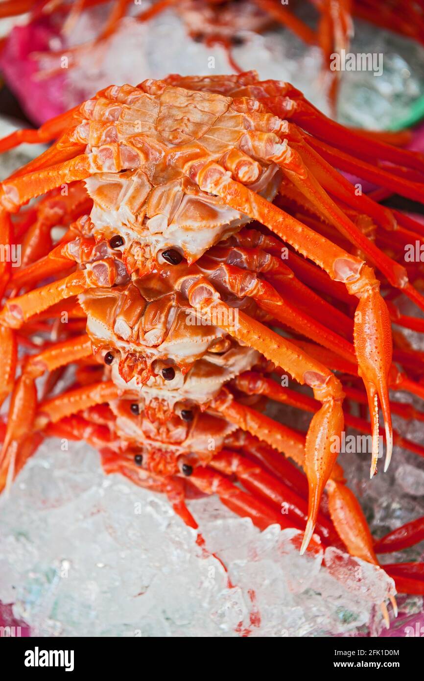 Auf dem koreanischen Produktmarkt stapelten sich Krabben aufeinander Stockfoto