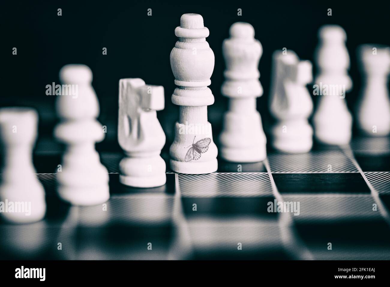 Schwarz-weiße Schachfiguren Stockfoto