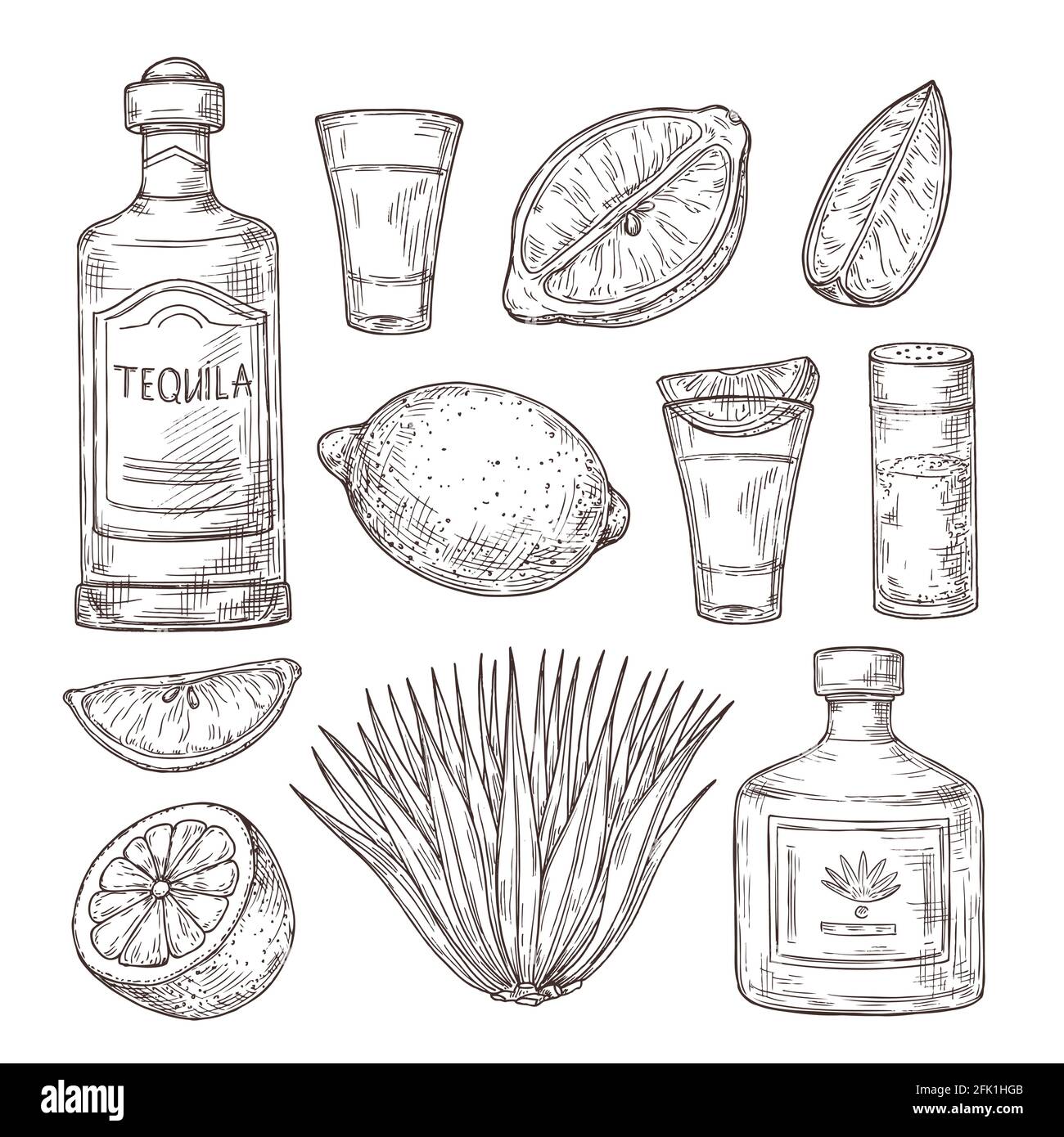 AgaveTequilaSkizze. Vintage Glas Shot, Barzutaten und Pflanzen