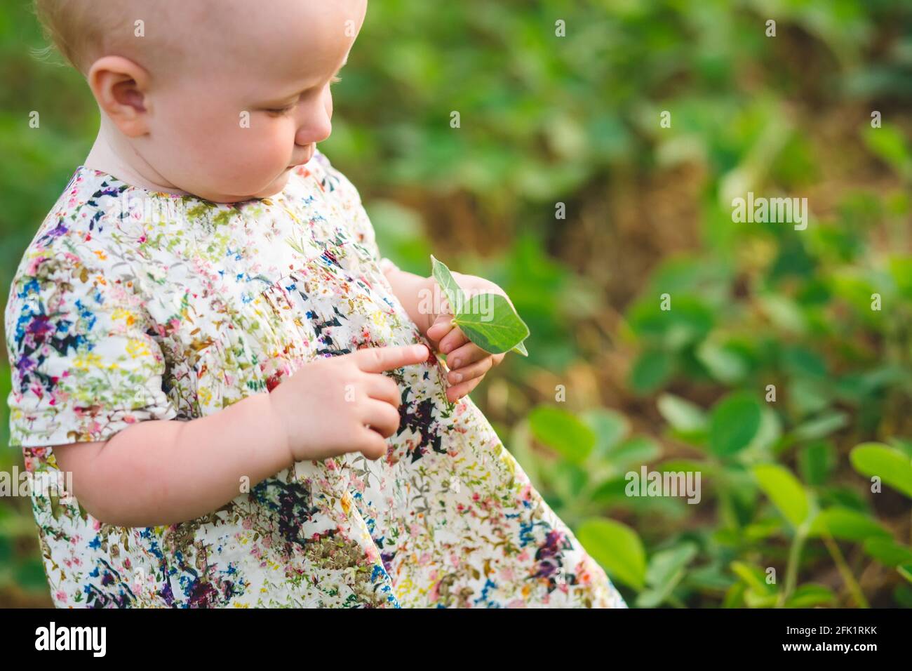 Kleines Mädchen in einem Kleid zeigt Finger auf Sojabohnen sprießen in den Händen. Glycin max, Sojabohnen, Sojabohnen sprießen Sojabohnen wachsen in der Skala. Landwirtschaftliche Soja pla Stockfoto