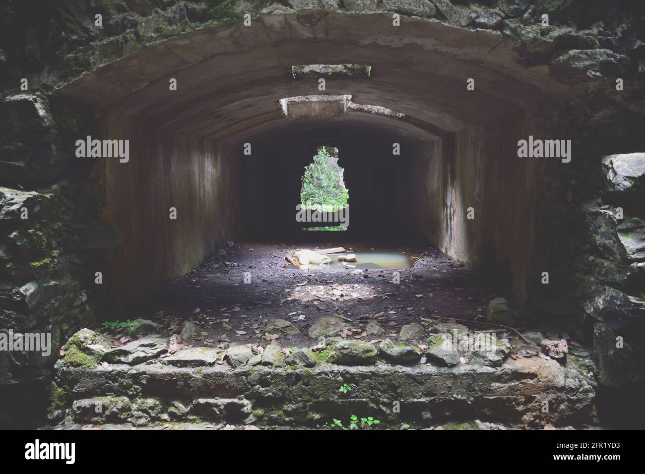 Alter Tunnel, unter einer Brücke, von einer alten Brücke aus gesehen, mitten in der Vegetation Stockfoto